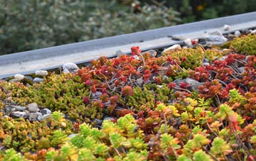 the cost of Llanishen green roof installation